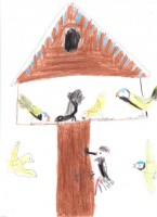 /album/fenykepgaleria/madareteto-jpg1/