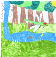 /album/fenykepgaleria/vizeses-jpg/